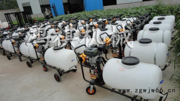 ,框架式汽油打药机A果园喷雾打药机多喷头农用打药机图2