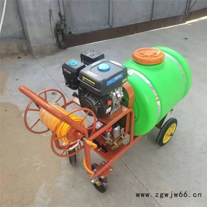 佳硕汽油打药机价格  高杆多喷头打药机 四轮高压防疫消毒喷雾器图8