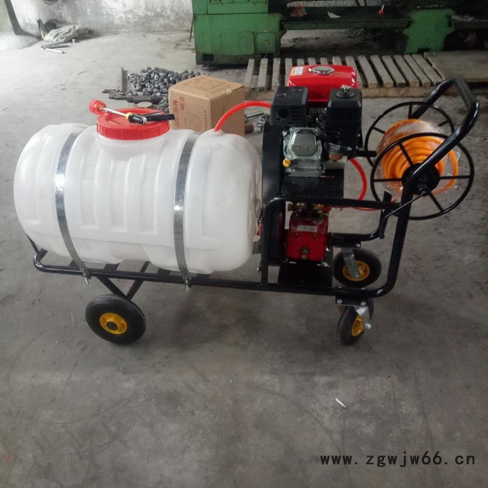 河南省高压拉管打药机 宇晨瓜地多喷头喷雾器 手推式喷雾消毒车价格图6