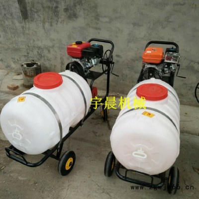河南省高压拉管打药机 宇晨瓜地多喷头喷雾器 手推式喷雾消毒车价格