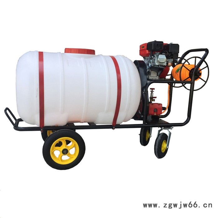 多喷头打药机 鸿祺风送打药机 大风量二冲程汽油框架式打药机图2