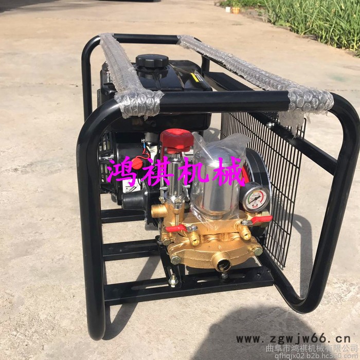 多喷头打药机 鸿祺风送打药机 大风量二冲程汽油框架式打药机图6