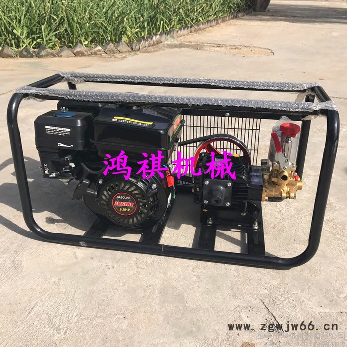 多喷头打药机 鸿祺风送打药机 大风量二冲程汽油框架式打药机图4