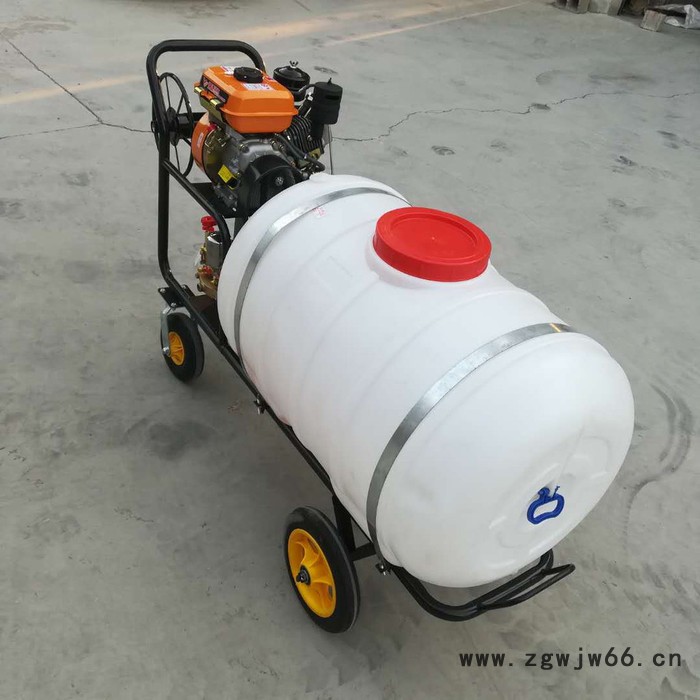 多喷头打药机三轮式打药机 驰航牌农用打药机 果园喷雾机图2