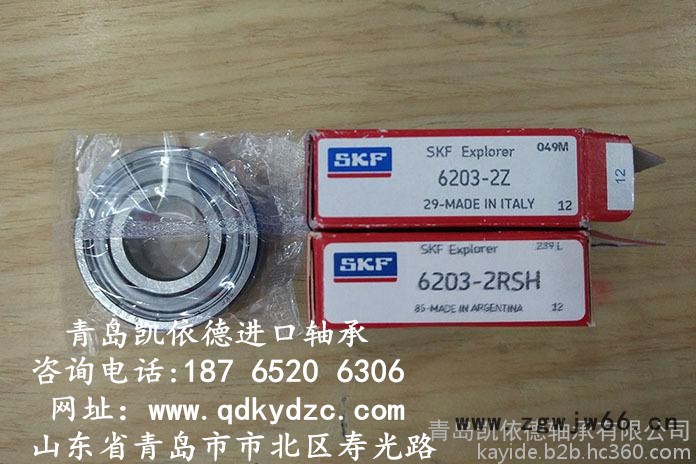 瑞典SKF进口轴承公司 双列深沟球轴承规格 6004-2RS1轴承供应商图2