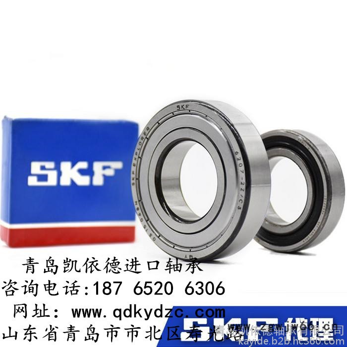 瑞典SKF进口轴承公司 双列深沟球轴承规格 6004-2RS1轴承供应商图3