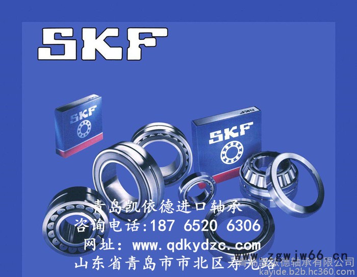 瑞典SKF进口轴承公司 双列深沟球轴承规格 6000-2RS1轴承供应商图3