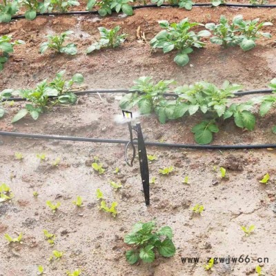 山东茂源倒挂微喷40公分框架旋转式地插 吊挂喷头 折射雾化微喷安装