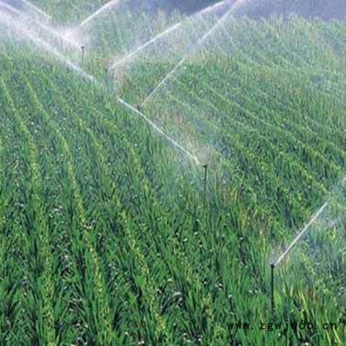 360度洒水喷头 园林浇水自动旋转喷水器 农用灌溉喷灌 草坪灌溉喷淋图7