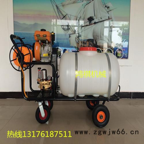 多喷头种植打药设备 宜章县 新款果树园林打药机详情说明图7