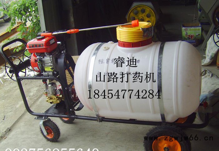 大型自走打药机 多喷头汽油打药机 山东打药机价格图2