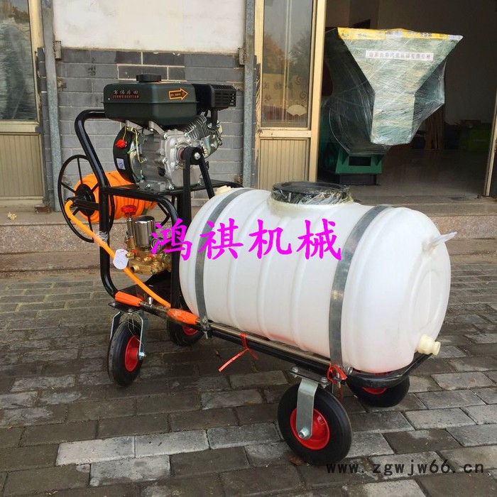 多喷头桃园打药机 鸿H祺Q打药机 果树灭虫器图4