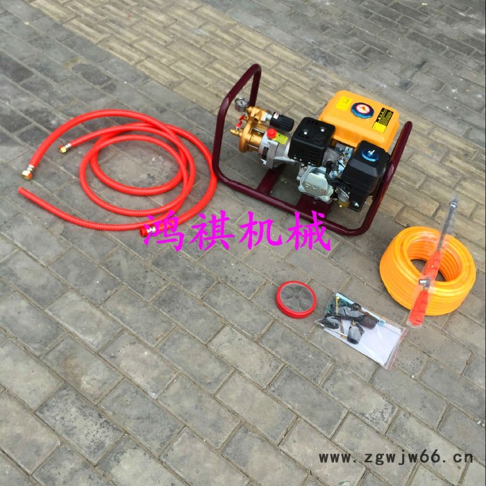 多喷头桃园打药机 鸿H祺Q打药机 果树灭虫器图3