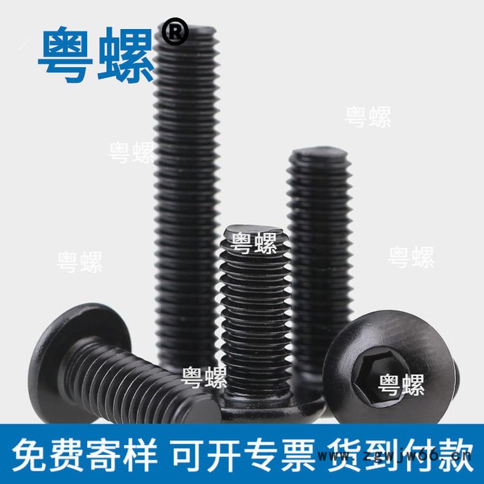 黑色304不锈钢螺丝厂 粤螺圆头内六角螺丝钉 黑锌半圆头螺钉 螺栓 湛江圆头木螺丝 弹簧螺母图2
