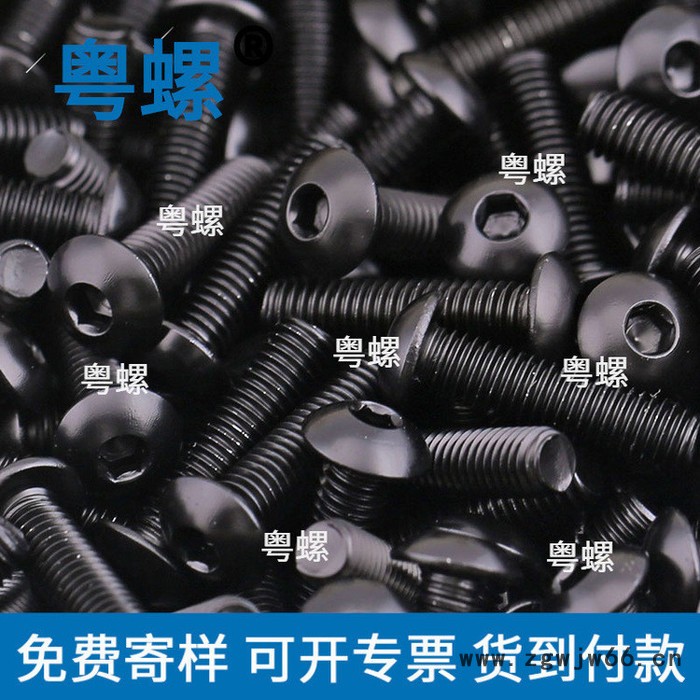 黑色304不锈钢螺丝厂 粤螺圆头内六角螺丝钉 黑锌半圆头螺钉 螺栓 湛江圆头木螺丝 弹簧螺母图5