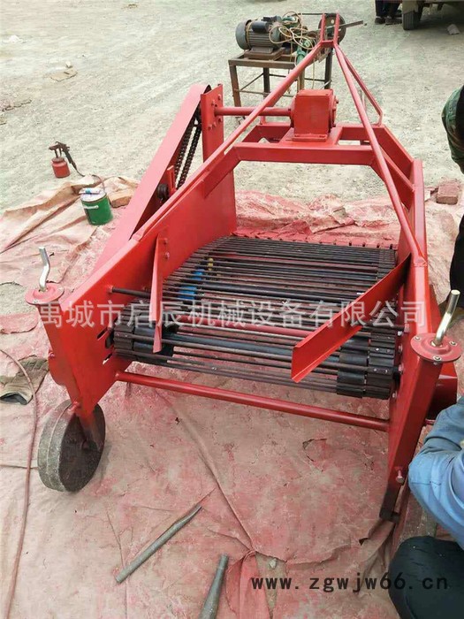 直销弹簧钢土豆收获机 皮带加固型马铃薯收获机 红薯收获机