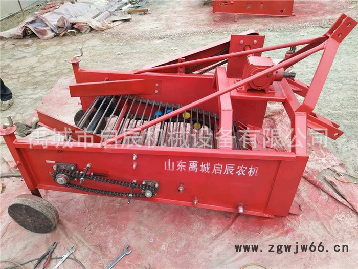 直销弹簧钢土豆收获机 皮带加固型马铃薯收获机 红薯收获机图3