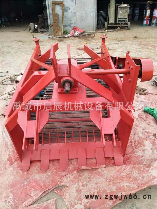 直销弹簧钢土豆收获机 皮带加固型马铃薯收获机 红薯收获机图2