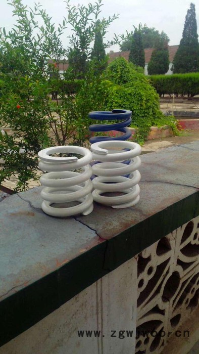 供应津宝弹簧弹簧图3