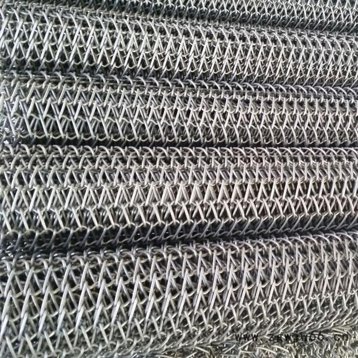 博创螺旋网带   链杆式速冻螺旋网带 螺旋速冻机配件 弹簧丝网带非标可定做图4