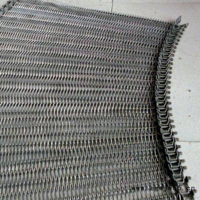 博创螺旋网带   链杆式速冻螺旋网带 螺旋速冻机配件 弹簧丝网带非标可定做图5