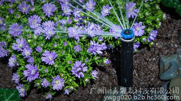 HUNTER 旋转射线喷头MP1000 地埋式旋转射线喷头图4