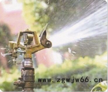 石家庄供应园林绿化灌溉喷头   批发草坪摇臂喷头价格图2