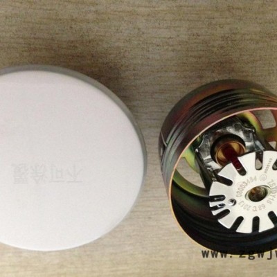 金盾喷头 隐蔽式喷头 金盾隐蔽式喷头 ZSTDY隐蔽式喷头