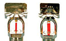 上海金盾消防 消防喷头 边墙式洒水喷头 ZSTB洒水喷头 边图2