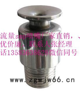 展图各种smp不锈钢喷嘴/喷头图3