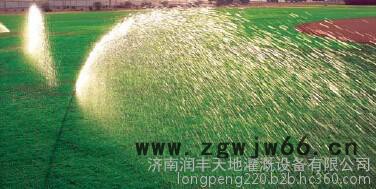 5000/5004喷头-美国雨鸟喷头进口RAIN BIRD地埋式旋转喷头-升降式可调图2