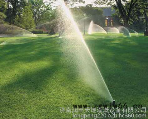 5000/5004喷头-美国雨鸟喷头进口RAIN BIRD地埋式旋转喷头-升降式可调图3