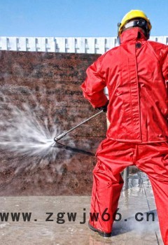 石器时代 热换器清洗用 Barracuda 梭鱼喷头 旋转喷头图5