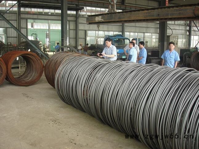 冷墩不锈钢弹簧钢丝12Cr18Ni9﹑ 06Cr19Ni9N,不锈钢冷镦精线图4