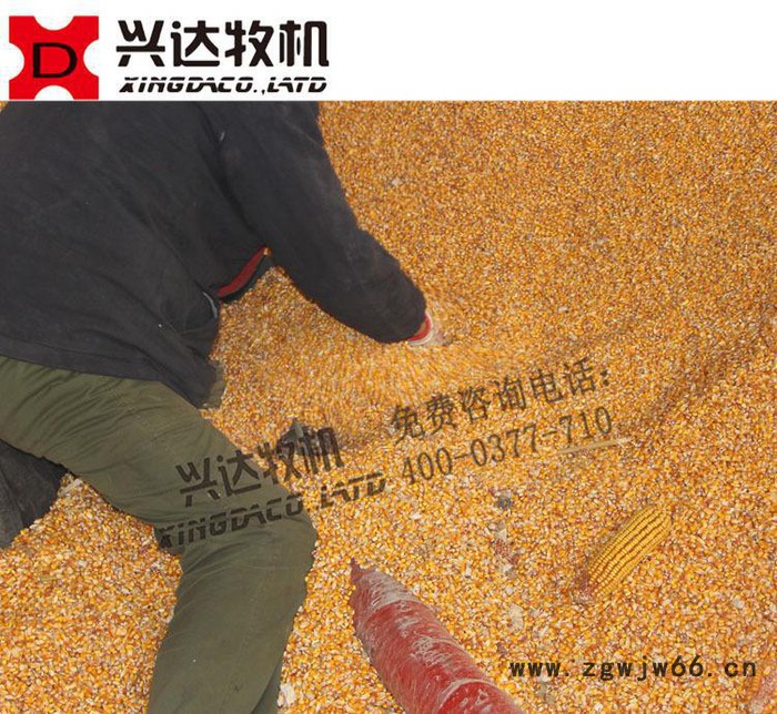 **高质量车载式吸粮机 质量过关小型玉米输送设备 软管弹簧图3