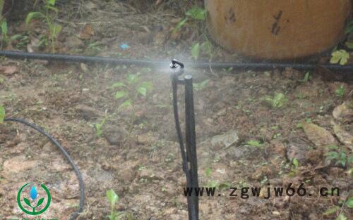 50公分地插喷头  摇臂喷头 微喷头 农业灌溉 园林灌溉图2