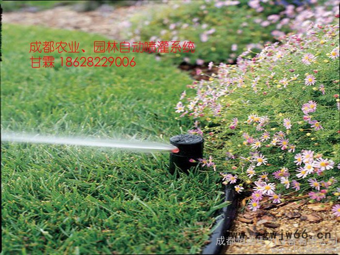 供应美国雨鸟灌溉喷头图2