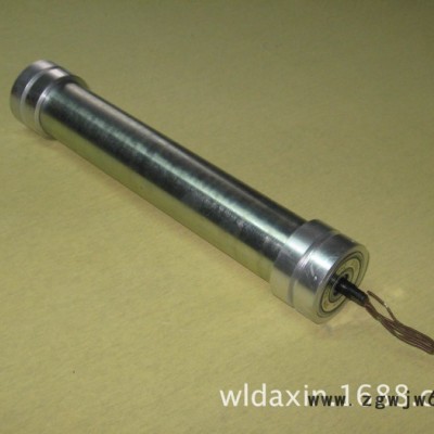 GTD60电动滚筒  微型电动滚筒