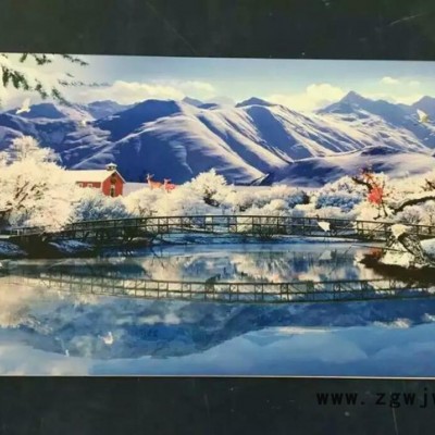 玻璃喷绘机 东芝喷头工业喷头UV平板打印机 保修两年