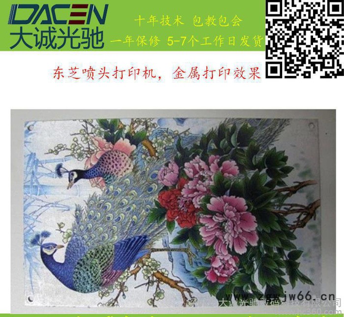 大诚光驰东芝喷头彩印机,金属彩印机图2