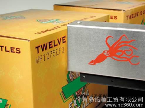 供应SQ/2喷码机喷头图3