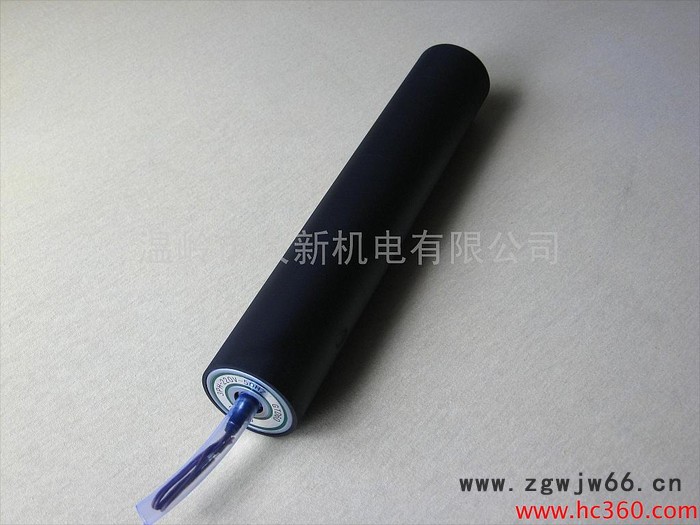 大新机电电动滚筒  微型电动滚筒图8