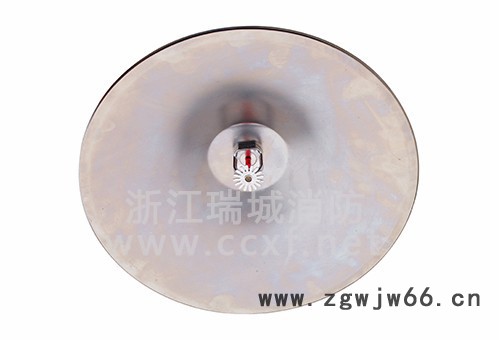 浙江瑞城喷头附件图5