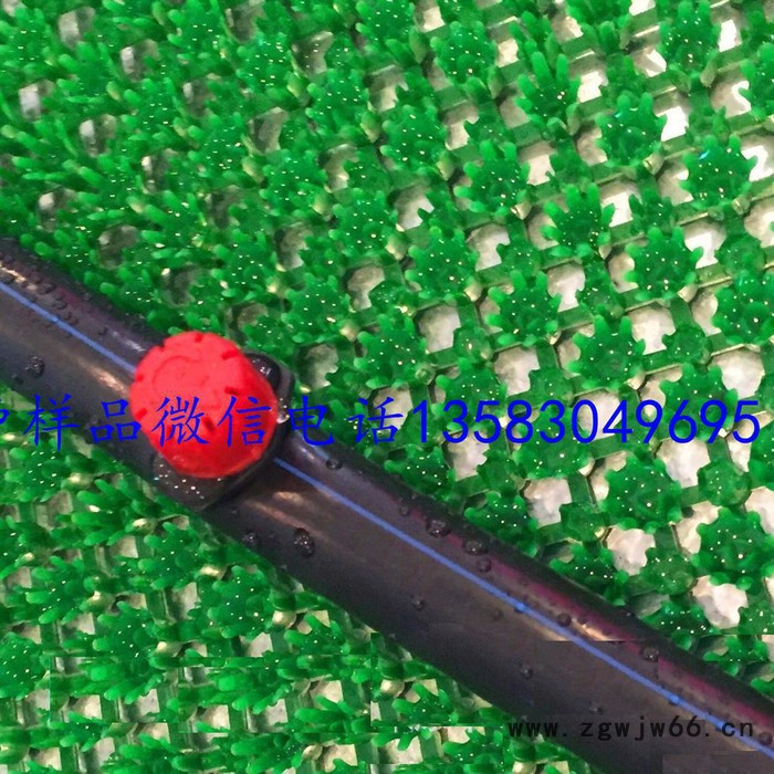 农业节水灌溉滴灌滴头喷头 可拆卸式压力补偿滴头 滴灌系统滴头图2