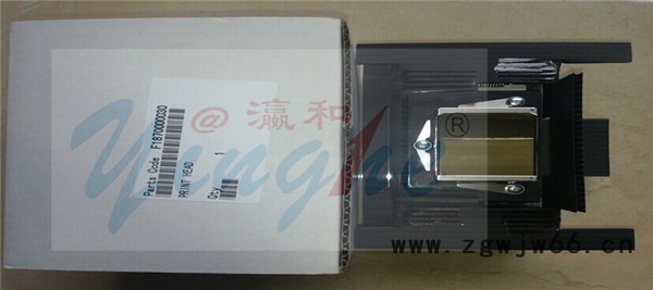 打印机配件 Epson/爱普生F187000 DX5 室内写真机水性不加密金面喷头图2