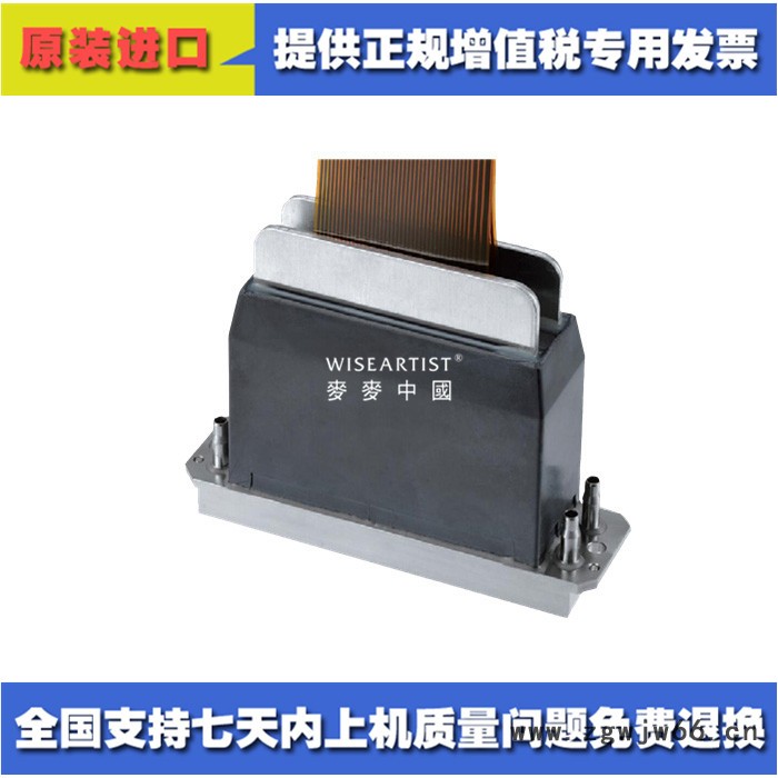 Ricoh/理光 理光G5喷头图4