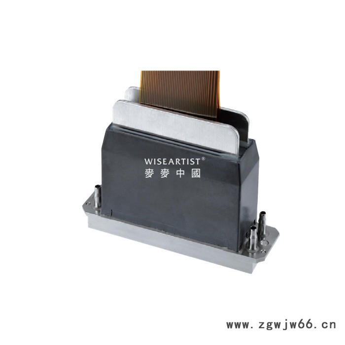 Ricoh/理光 理光G5喷头图6