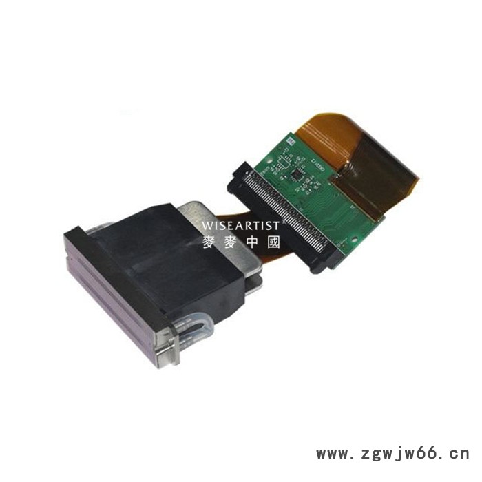 Ricoh/理光 理光G5喷头图8