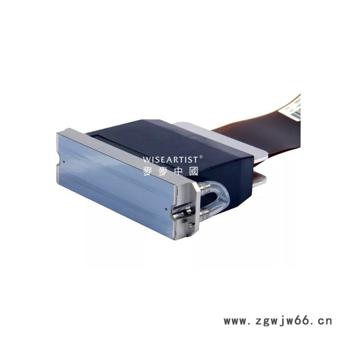 Ricoh/理光 理光G5喷头图7