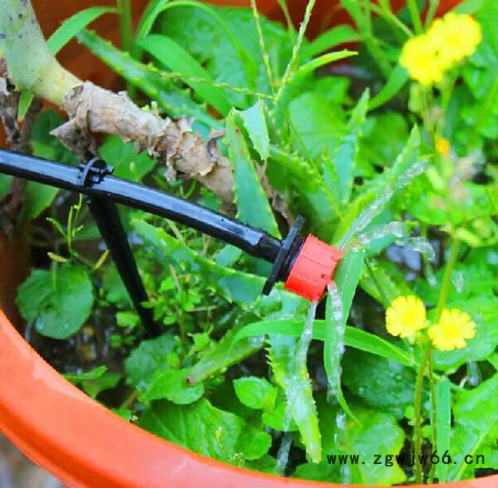 绿茵 8孔流量可调滴头 小红帽喷头 可拆开清洗 **图2